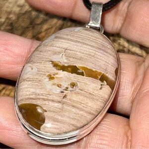 Earthy Tone Petrified Wood Pendant 2 1/4”